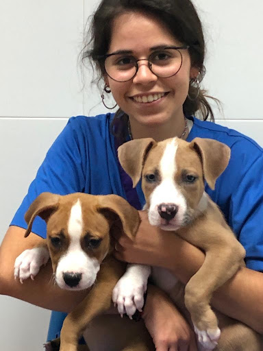 Clínica Veterinaria Castelldefels Albó – Castelldefels