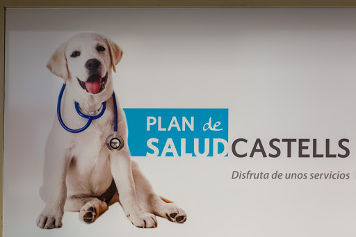 Clínica Veterinaria Castells – Alzira