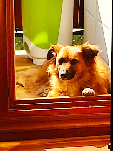 Clínica Veterinaria Castro – Castro Urdiales