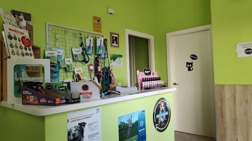 Clínica Veterinaria Cats & Dogs – San Fernando