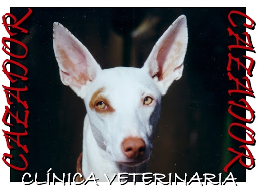 Clínica Veterinaria Cazador – San Bartolomé