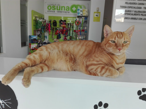 Clínica Veterinaria «Ciudad de Osuna» – Osuna