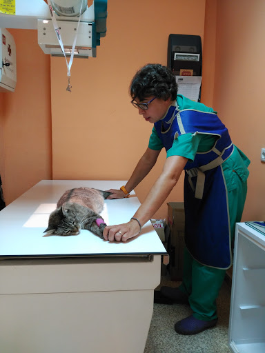 Clínica Veterinaria Ciutadella – Barcelona