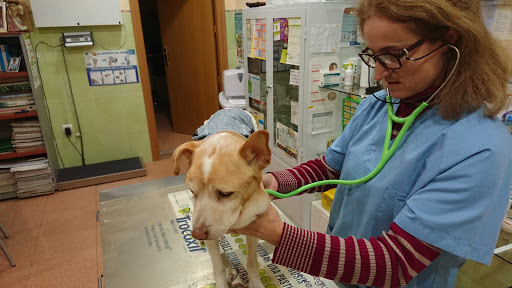 Clínica Veterinaria Cliveal – Almendralejo