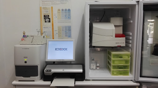 Clínica Veterinaria Colores – Madrid