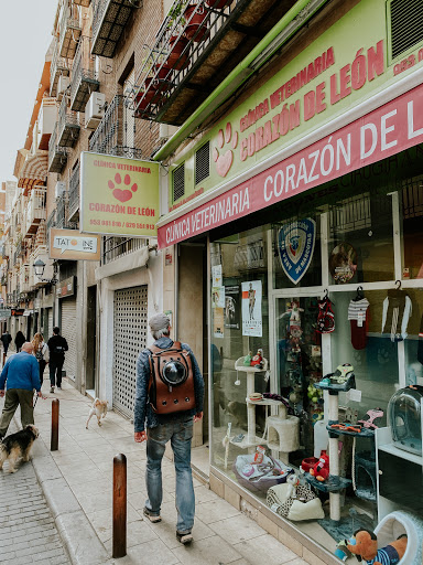Clínica Veterinaria Corazón de León – Jaén