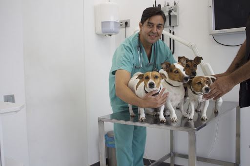 Clínica Veterinaria Corvet – Barcelona