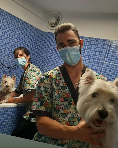 Clínica Veterinaria Darwin – Atarfe