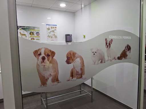 Clínica Veterinaria Davavet – Valencia