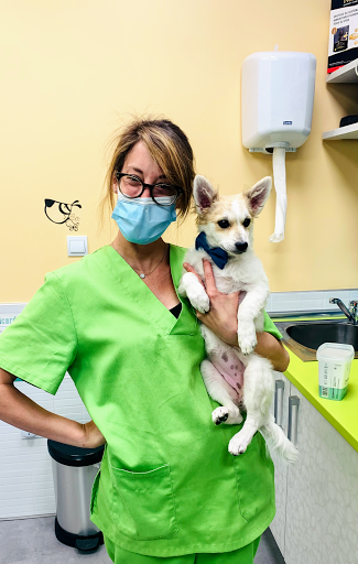 Clínica Veterinaria Dcontreras – Madrid