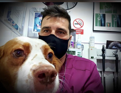 Clínica Veterinaria Don Quijote – Madrid