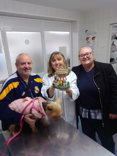 Clínica Veterinaria Dr. Galacho – Málaga