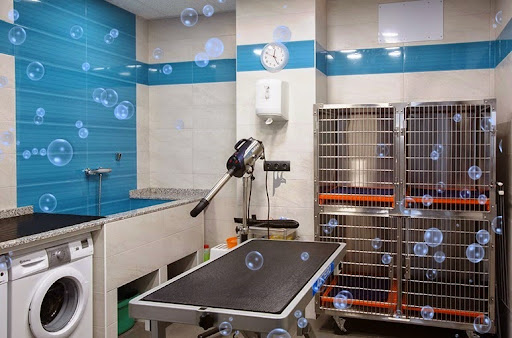 Clínica Veterinaria Eboli – Madrid