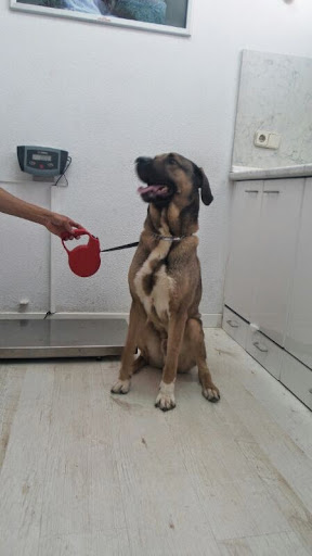 Clínica Veterinaria Ecovet Vallecas Villa – Madrid
