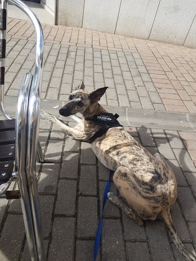 Clínica Veterinaria El Alamo – El Álamo