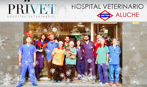 Clínica Veterinaria El Bosque – Madrid