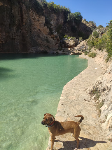 Clínica Veterinaria El Caroig – Navarrés