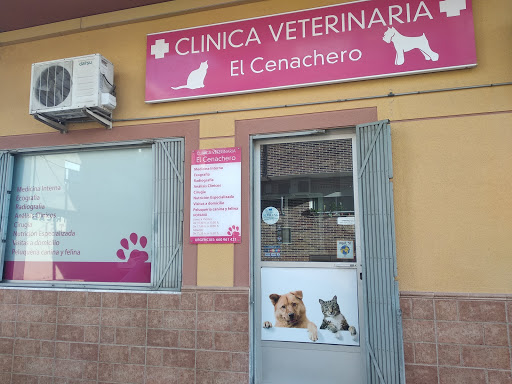 Clínica Veterinaria «El Cenachero» – Catadau