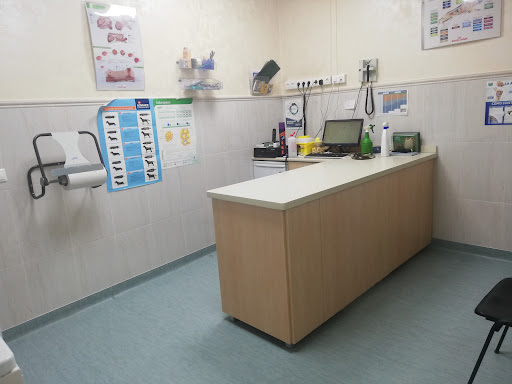 Clínica Veterinaria El Fardes – Guadix