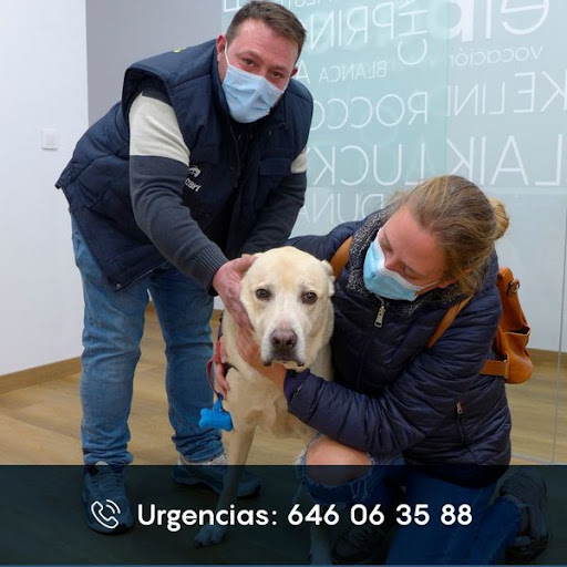 Clínica Veterinaria El Paseo En Villena – Villena