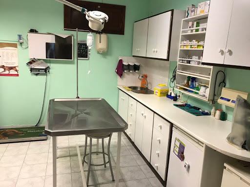 Clínica Veterinaria El Paso – El Paso