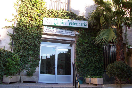 Clínica Veterinaria El Terrer – Alcoi