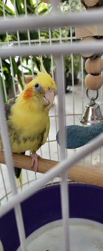 Clínica Veterinaria En Daganzo – Rafael Uría – Daganzo de Arriba