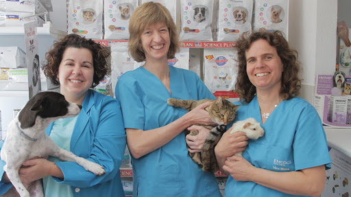Clínica Veterinaria Enedos – Sabadell