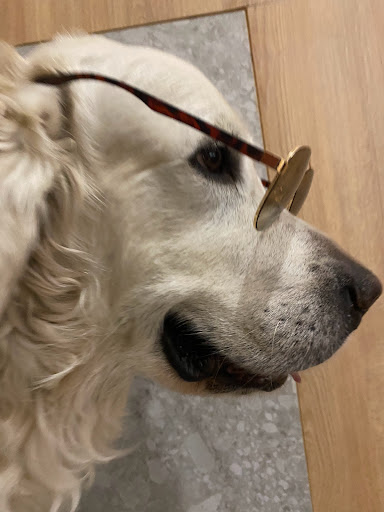 Clínica Veterinaria Enxa – Porto do Son