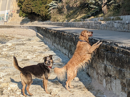 Clínica Veterinaria Equilibrio – Las Palmas de Gran Canaria