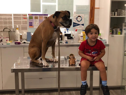 Clínica Veterinaria Es Pla – Porreres – Porreres