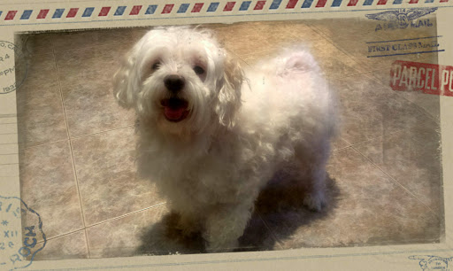 Clínica Veterinaria Esla – Huesca