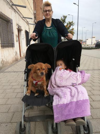 Clínica Veterinaria Espuña – Totana