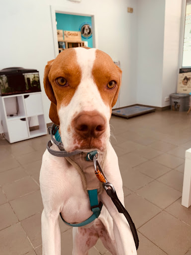 Clínica Veterinaria Family Vet – Barcelona