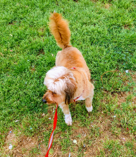 Clínica Veterinaria Faunatura – Castellón de la Plana