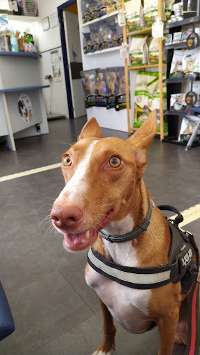 Clínica Veterinaria Faycan – Es Pont d’Inca