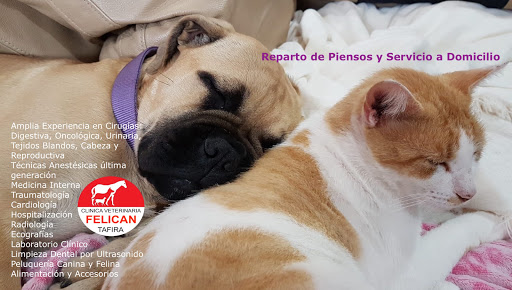Clínica Veterinaria Felicán Tafira – Tafira Alta