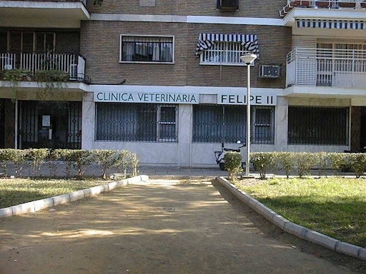 Clínica Veterinaria Felipe Ii – Sevilla