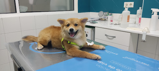 Clínica Veterinaria Felycan – Alicante