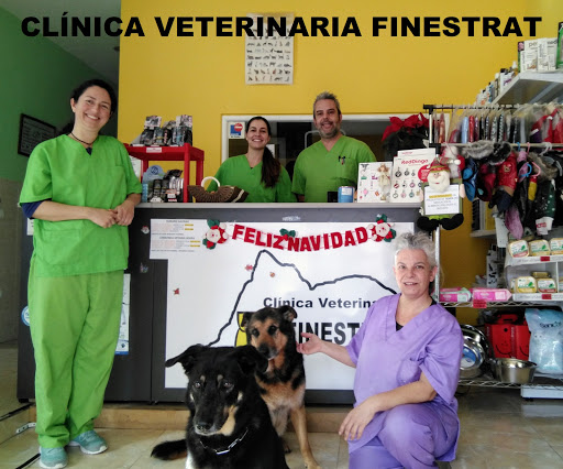 Clínica Veterinaria Finestrat – Finestrat