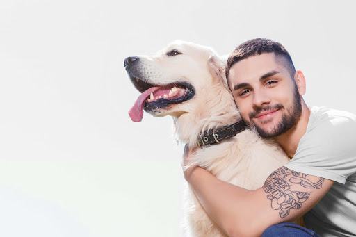 Clínica Veterinaria Fitovet – Zizur Mayor