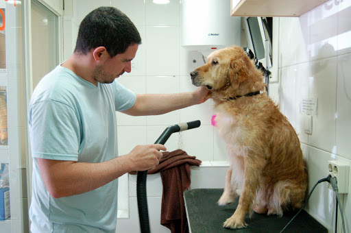 Clínica Veterinaria Fundació Silvestre – Barcelona