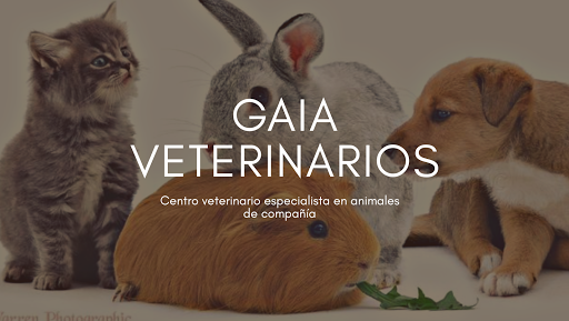 Clínica Veterinaria Gaia – Vecindario