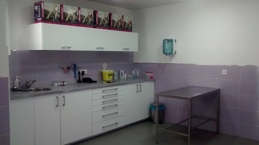 Clínica Veterinaria Gamusinos – Madrid