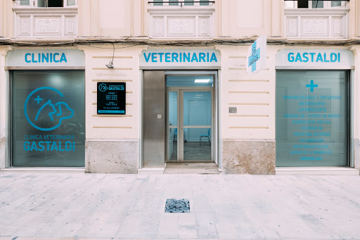 Clínica Veterinaria Gastaldi – Valencia
