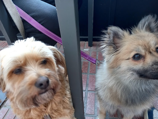 Clínica Veterinaria Gavilanes – Gavilanes de Orbigo