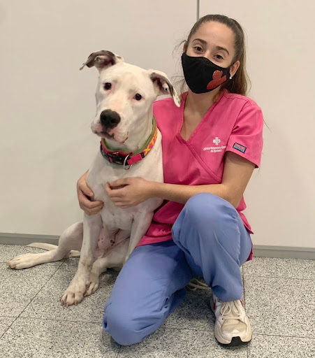 Clínica Veterinaria General de Barberà (Veterinario) – Barberà del Vallès