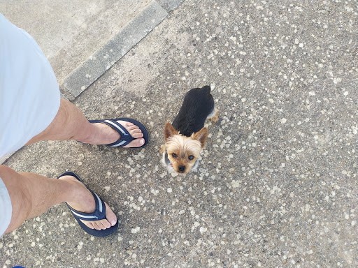 Clínica Veterinaria Gespiber – Olivenza