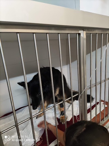 Clínica Veterinaria Gran Via – Barcelona