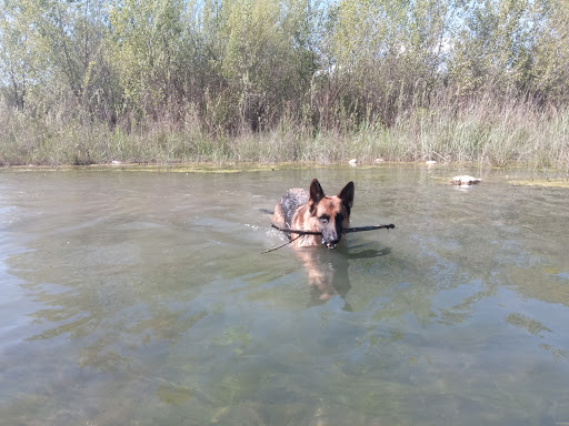 Clínica Veterinaria Graus – Graus